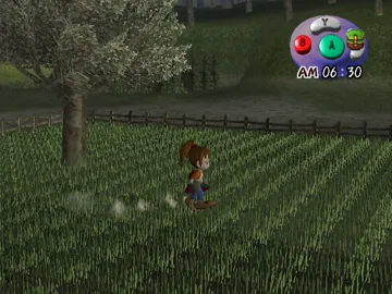 Harvest Moon - Another Wonderful Life screen shot game playing